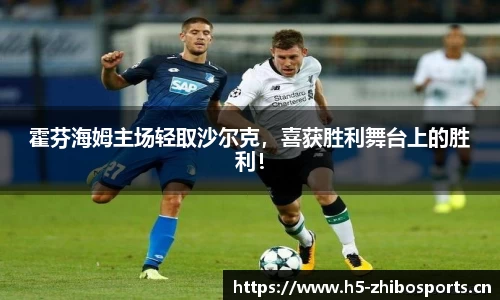 霍芬海姆主场轻取沙尔克，喜获胜利舞台上的胜利！