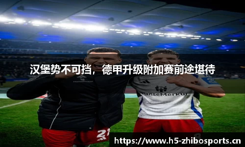 汉堡势不可挡，德甲升级附加赛前途堪待
